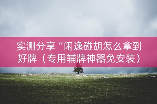 实测分享“闲逸碰胡怎么拿到好牌（专用辅牌神器免安装）