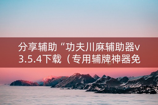 分享辅助“功夫川麻辅助器v3.5.4下载（专用辅牌神器免安装）
