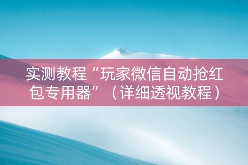 实测教程“玩家微信自动抢红包专用器”（详细透视教程）-哔哩哔哩