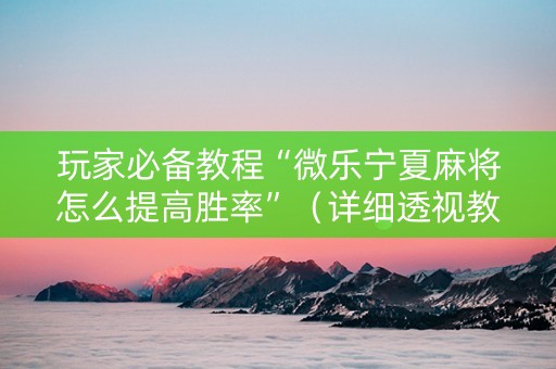 玩家必备教程“微乐宁夏麻将怎么提高胜率”（详细透视教程）-哔哩哔哩