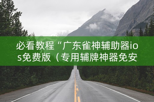 必看教程“广东雀神辅助器ios免费版（专用辅牌神器免安装）