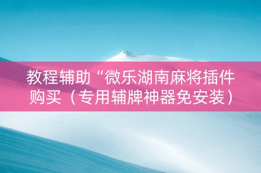 教程辅助“微乐湖南麻将插件购买（专用辅牌神器免安装）