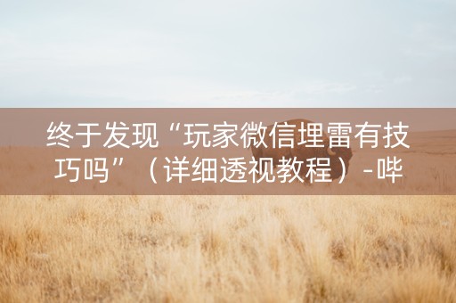 终于发现“玩家微信埋雷有技巧吗”（详细透视教程）-哔哩哔哩