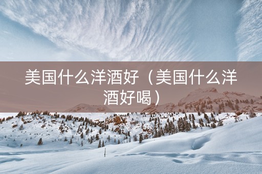 美国什么洋酒好（美国什么洋酒好喝）