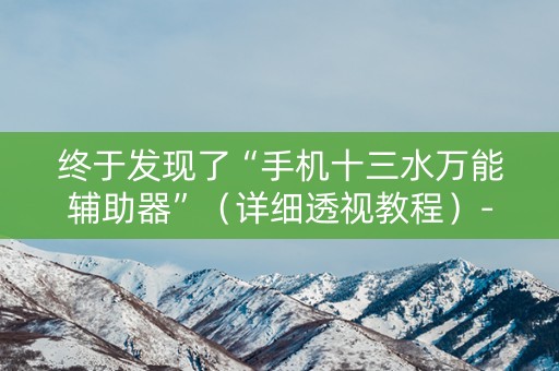 终于发现了“手机十三水万能辅助器”（详细透视教程）-哔哩哔哩