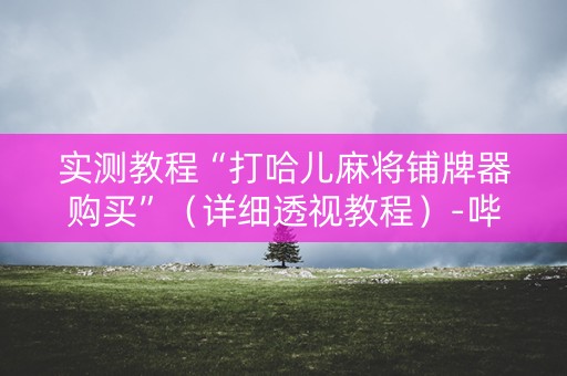 实测教程“打哈儿麻将铺牌器购买”（详细透视教程）-哔哩哔哩