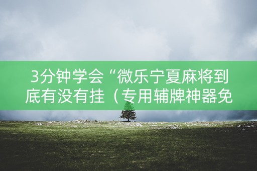 3分钟学会“微乐宁夏麻将到底有没有挂（专用辅牌神器免安装）