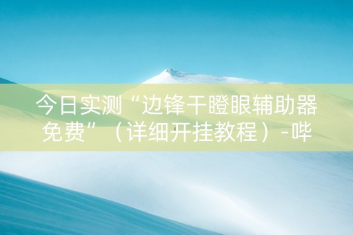 今日实测“边锋干瞪眼辅助器免费”（详细开挂教程）-哔哩哔哩