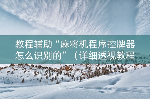 教程辅助“麻将机程序控牌器怎么识别的”（详细透视教程）-哔哩哔哩
