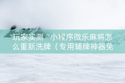 玩家实测“小程序微乐麻将怎么重新洗牌（专用辅牌神器免安装）
