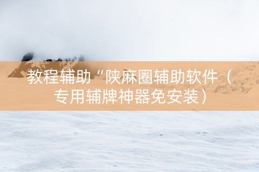 教程辅助“陕麻圈辅助软件（专用辅牌神器免安装）