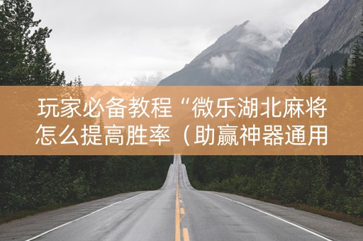 玩家必备教程“微乐湖北麻将怎么提高胜率（助赢神器通用版）