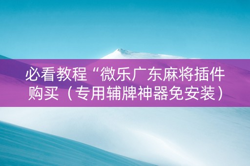 必看教程“微乐广东麻将插件购买（专用辅牌神器免安装）