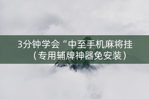 3分钟学会“中至手机麻将挂（专用辅牌神器免安装）