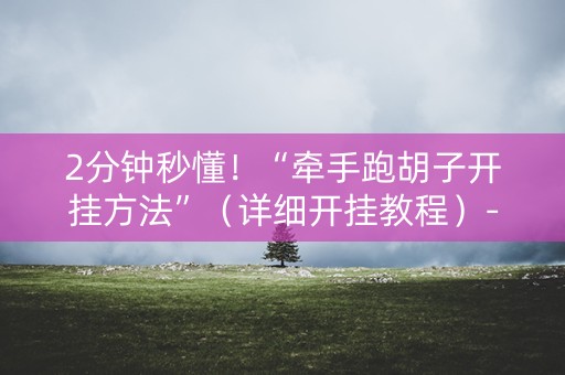 2分钟秒懂！“牵手跑胡子开挂方法”（详细开挂教程）-哔哩哔哩