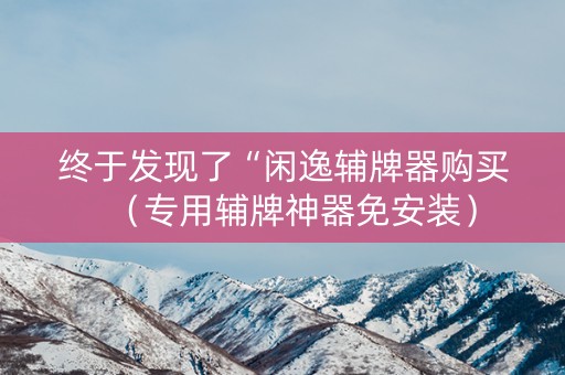 终于发现了“闲逸辅牌器购买（专用辅牌神器免安装）