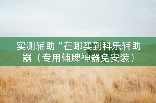 实测辅助“在哪买到科乐辅助器（专用辅牌神器免安装）