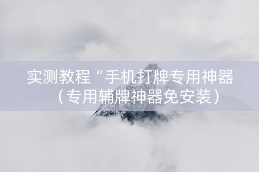 实测教程“手机打牌专用神器（专用辅牌神器免安装）