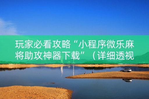 玩家必看攻略“小程序微乐麻将助攻神器下载”（详细透视教程）-哔哩哔哩