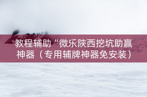 教程辅助“微乐陕西挖坑助赢神器（专用辅牌神器免安装）
