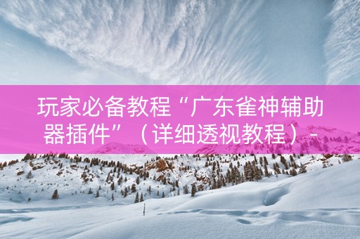 玩家必备教程“广东雀神辅助器插件”（详细透视教程）-哔哩哔哩