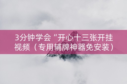 3分钟学会“开心十三张开挂视频（专用辅牌神器免安装）