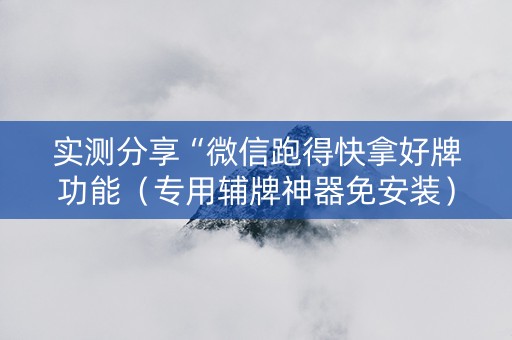 实测分享“微信跑得快拿好牌功能（专用辅牌神器免安装）
