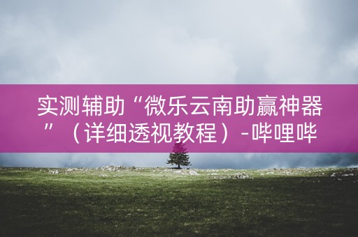 实测辅助“微乐云南助赢神器”（详细透视教程）-哔哩哔哩