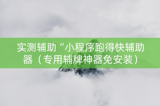 实测辅助“小程序跑得快辅助器（专用辅牌神器免安装）