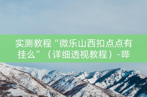 实测教程“微乐山西扣点点有挂么”（详细透视教程）-哔哩哔哩