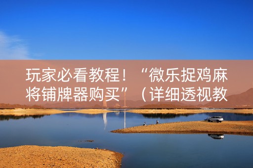 玩家必看教程！“微乐捉鸡麻将铺牌器购买”（详细透视教程）-哔哩哔哩