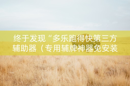 终于发现“多乐跑得快第三方辅助器（专用辅牌神器免安装）