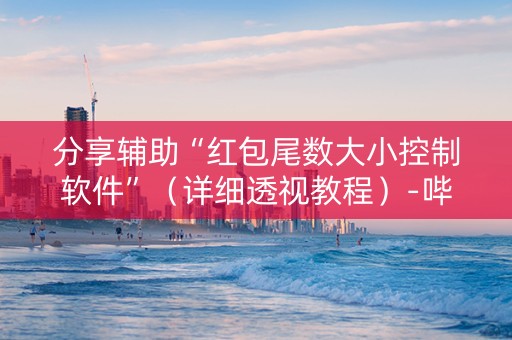 分享辅助“红包尾数大小控制软件”（详细透视教程）-哔哩哔哩