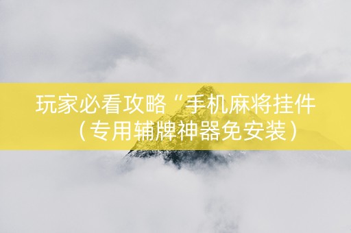 玩家必看攻略“手机麻将挂件（专用辅牌神器免安装）