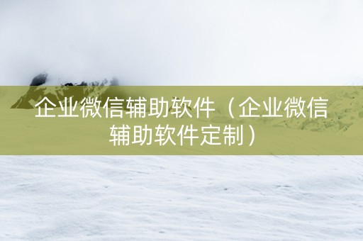企业微信辅助软件（企业微信辅助软件定制）