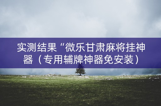 实测结果“微乐甘肃麻将挂神器（专用辅牌神器免安装）