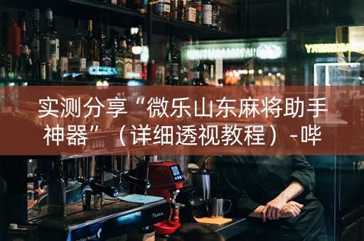 实测分享“微乐山东麻将助手神器”（详细透视教程）-哔哩哔哩
