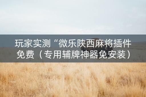 玩家实测“微乐陕西麻将插件免费（专用辅牌神器免安装）