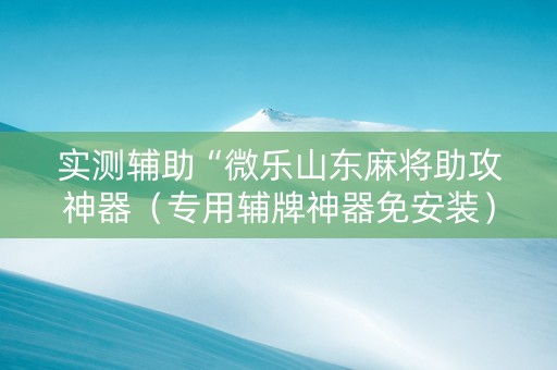 实测辅助“微乐山东麻将助攻神器（专用辅牌神器免安装）