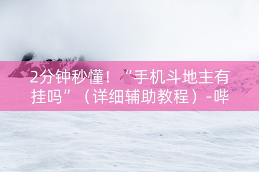 2分钟秒懂！“手机斗地主有挂吗”（详细辅助教程）-哔哩哔哩