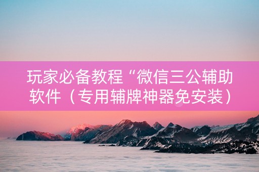 玩家必备教程“微信三公辅助软件（专用辅牌神器免安装）