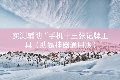 实测辅助“手机十三张记牌工具（助赢神器通用版）