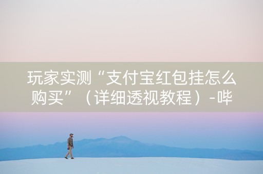 玩家实测“支付宝红包挂怎么购买”（详细透视教程）-哔哩哔哩
