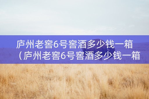 庐州老窖6号窖酒多少钱一箱（庐州老窖6号窖酒多少钱一箱啊）