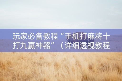 玩家必备教程“手机打麻将十打九赢神器”（详细透视教程）-哔哩哔哩