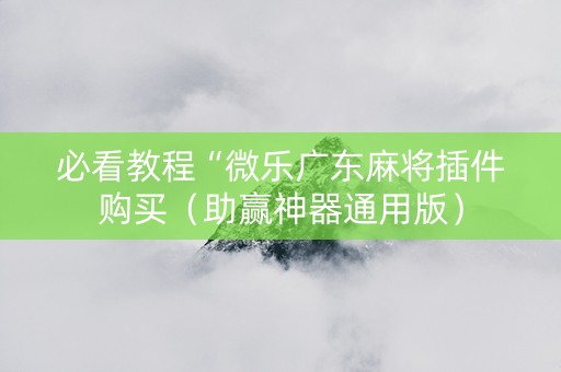 必看教程“微乐广东麻将插件购买（助赢神器通用版）