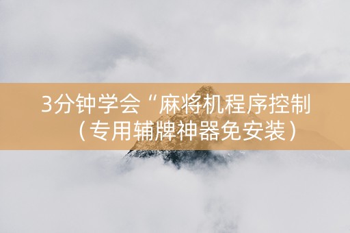 3分钟学会“麻将机程序控制（专用辅牌神器免安装）