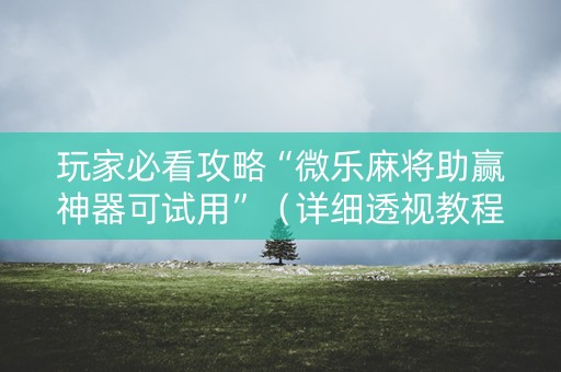 玩家必看攻略“微乐麻将助赢神器可试用”（详细透视教程）-哔哩哔哩