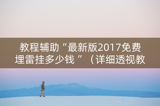 教程辅助“最新版2017免费埋雷挂多少钱 ”（详细透视教程）-哔哩哔哩