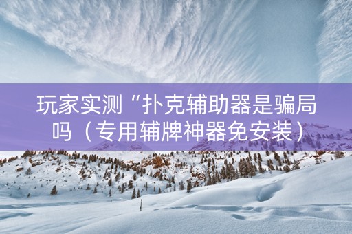玩家实测“扑克辅助器是骗局吗（专用辅牌神器免安装）